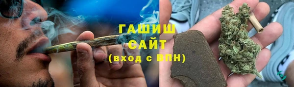 стаф Козловка