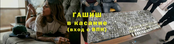 стаф Козловка