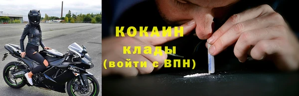 стаф Козловка