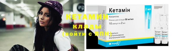 стаф Козловка