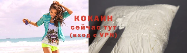 стаф Козловка