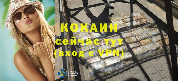 стаф Козловка