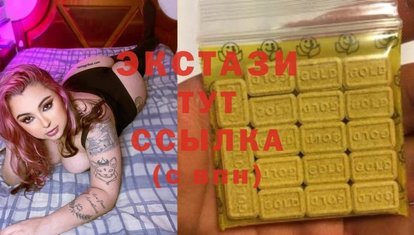 стаф Козловка