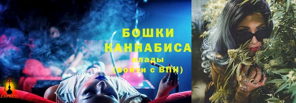 стаф Козловка