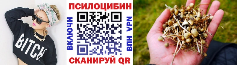 Купить где  Отрадный  Галлюциногенные грибы мицелий 